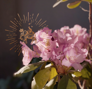 2619b7a4 808d 429d 9d22 41280769a946